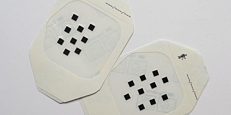 A Patch That Delivers Vaccines, No Needles Necessary