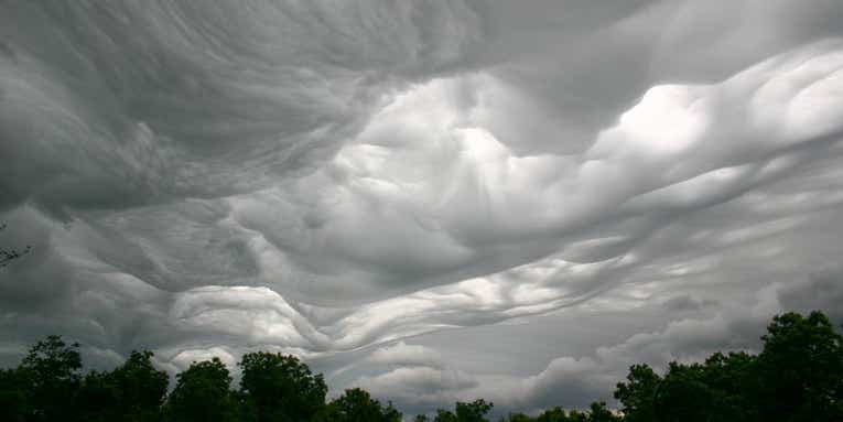 There are still undiscovered species of clouds—and you can find them yourself