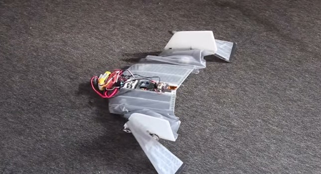 Bat-Like Bot Soars In The Sky And Crawls On The Ground