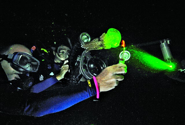 Researchers use a particle imager to measure the nutrients and other particles stirred up by the jellies' swimming.