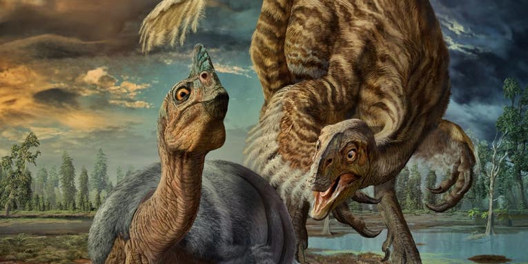 This giant feathered dinosaur had nests the size of monster truck tires