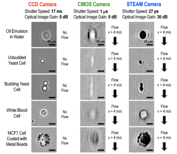 This image compares results from the new STEAM camera with a conventional CCD camera and a state-of-the-art CMOS camera.