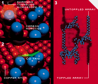THE TRICKLE-DOWN COMPUTER CIRCUIT<br />
IBM scientists have created the world's smallest computer circuit using 545 carbon monoxide (CO) molecules arranged on a grid of copper atoms. The circuit runs in an ultrahigh vacuum at 4 to 10 Kelvins. Here's how it works: A single input destabilizes a trio of CO molecules (1). The combined repulsive force of two CO molecules pushes the middle molecule onto the next grid space, where a new unstable trio forms (2). The hopping motion repeats itself, creating an information-routing domino effect. Toppled and untoppled CO cascades represent binary 1 and binary 0, respectively (3).