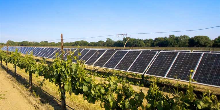 Thieves Use Google Earth to Find and Plunder Wineries’ Solar Panels