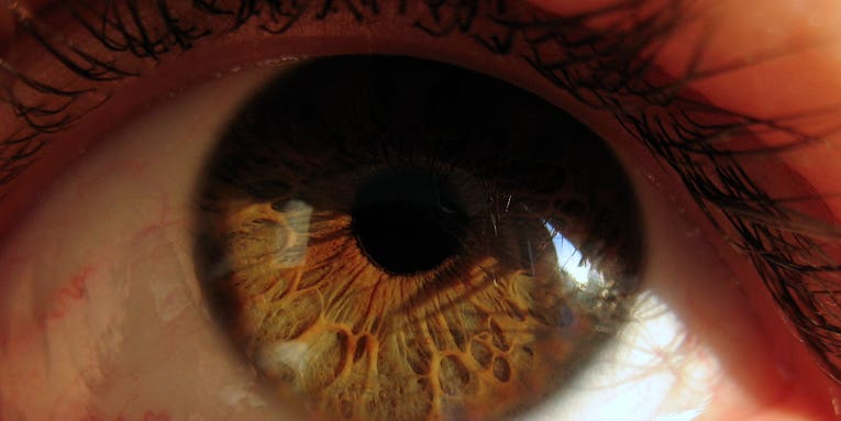 New Light-Powered Eye Implants Use Infrared Pulses to Restore Sight