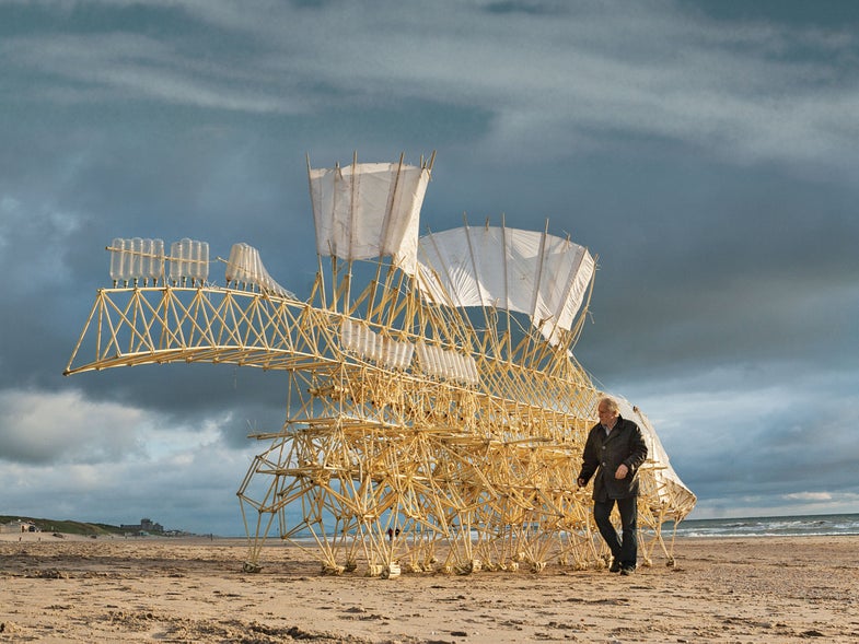 Theo Jansen and one of his strandbeests, Animaris Umerus, walk along a beach in the Netherlands.