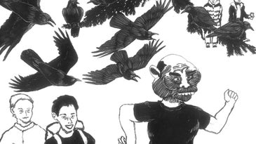 How Crows Recognize Individual Humans, Warn Others, and Are Basically Smarter Than You