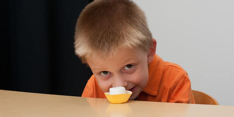 New Version of Classic Marshmallow Experiment Upends Original Conclusions