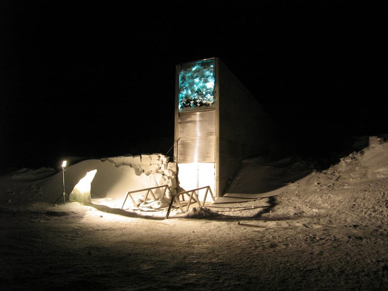 Syria Makes First Withdrawal From Arctic Doomsday Seed Vault
