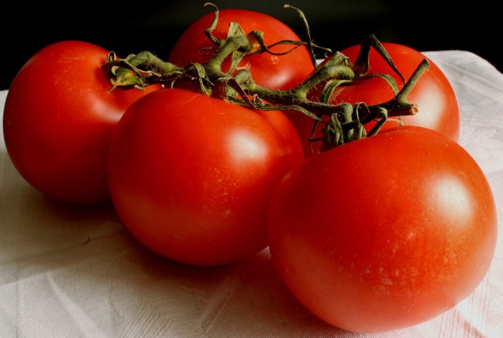 "Tomatoes"