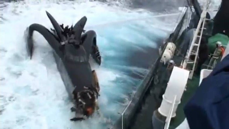 Video: World’s Fastest Eco-Boat Sunk in Whaler Collision