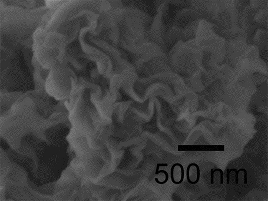 Nano-Sized Synthetic Coral Could Suck Up Ocean’s Pollutants