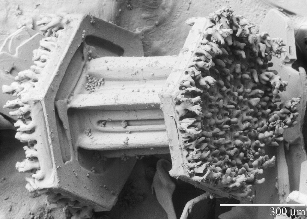 black-and-white scanning electron microscope showing a capped column snowflake with shaggy bits on the caps