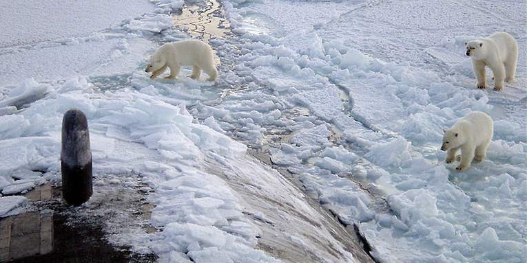 Climate Change Cruise Will Bring Tourists Across The Melted Arctic