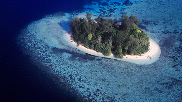 Don't Blame The Solomon Islands Sinking All On Climate Change