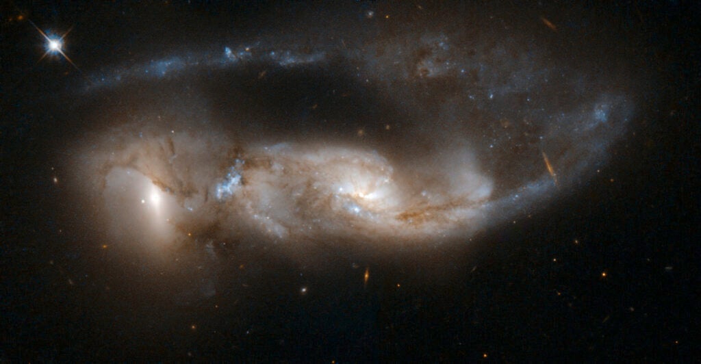 NGC 6621/2 (VV 247, Arp 81) is a strongly interacting pair of galaxies, seen about 100 million years after their closest approach. It consists of NGC 6621 (to the left) and NGC 6622 (to the right). NGC 6621 is the larger of the two, and is a very disturbed spiral galaxy. The encounter has pulled a long tail out of NGC 6621 that has now wrapped behind its body. The collision has also triggered extensive star formation between the two galaxies. Scientists believe that Arp 81 has a richer collection of young massive star clusters than the notable Antennae galaxies (which are much closer than Arp 81). The pair is located in the constellation of Draco, approximately 300 million light-years away from Earth. Arp 81 is the 81st galaxy in Arp's Atlas of Peculiar Galaxies.