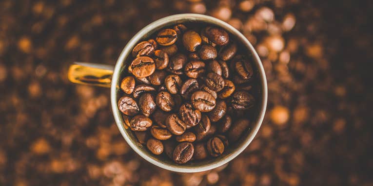 Climate change will make your coffee cost more and taste worse