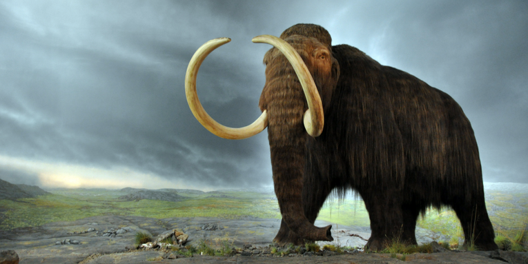 Zombie Mammoths to the Rescue