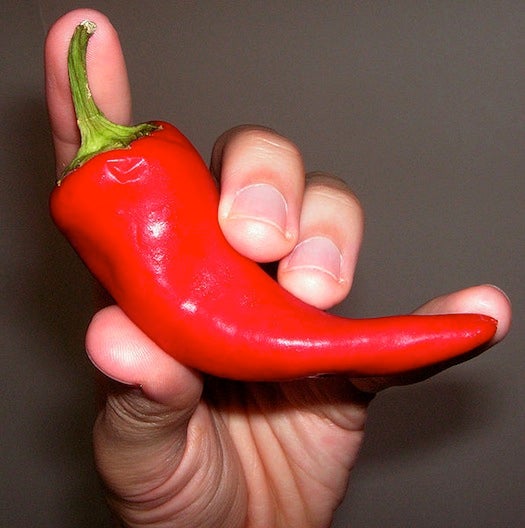 The Scoville scale indicates the amount of mouth-burning <a href="https://www.popsci.com/science/article/2011-06/fyi-what-hottest-pepper-world/">capsaicin</a> present in foods, and it does it with great precision: the scale goes from zero (bell peppers) all the way to police-grade pepper spray and the feared Trinidad Moruga Scorpion pepper (1.5 million to 2 million). It's stood the test of time, too, first devised in 1912 and still used today, albeit with more modern chemical testing techniques now rather than the human taste-test it required at first.