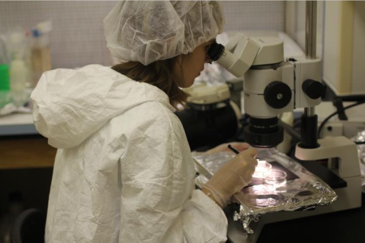 a woman looking into a microscope