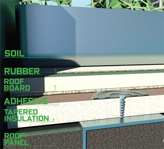 Layers of a green roof