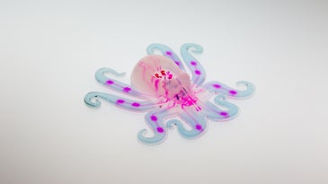 The Octobot