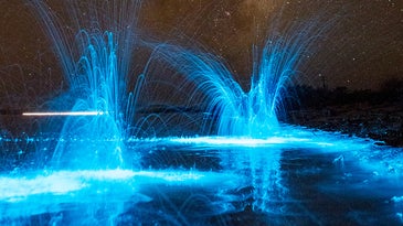 Glowing Plankton, Cryogenic Vacuum Chambers, And Other Amazing Images Of The Week