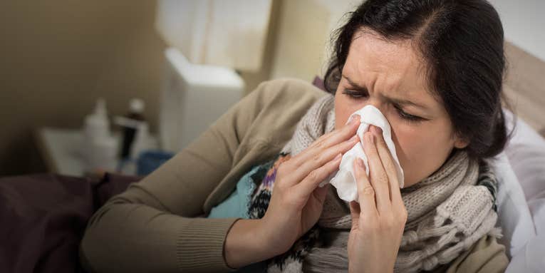 An exhaustive account of how the flu destroys your body