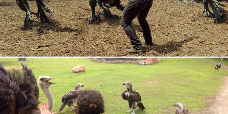 #Prattkeeping Is The Best Science Meme On Social Media Right Now