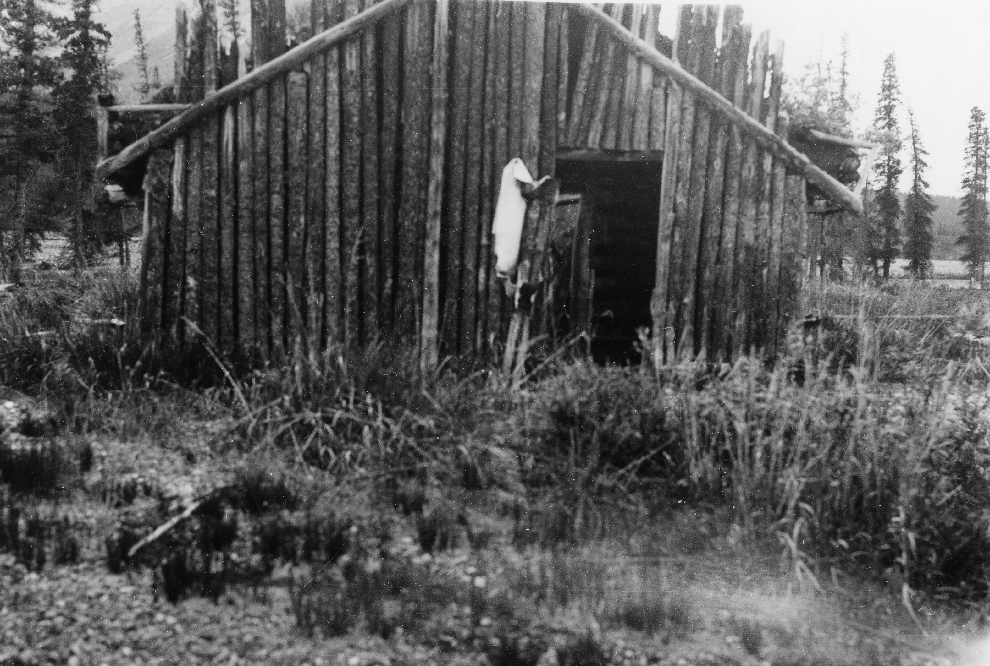 Charles Sheldon's cabin on the Toklat River
