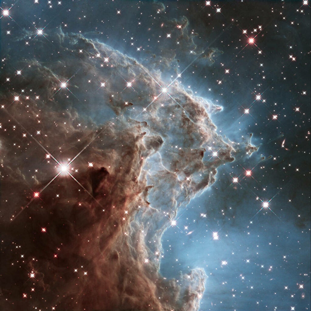 The Monkey Head Nebula Births Stars