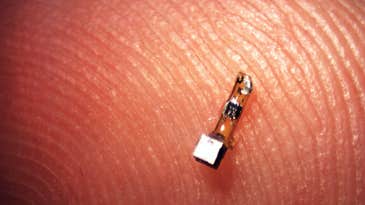 Wireless ‘Neural Dust’ Could Monitor Your Brain