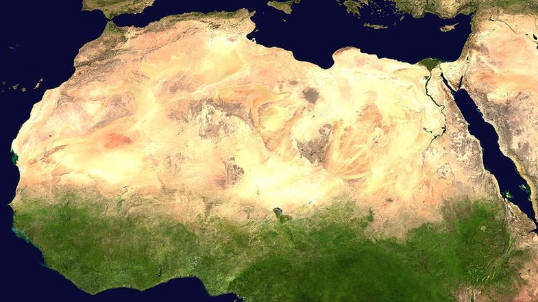 Containing the Sahara with Bacteria-Built Walls