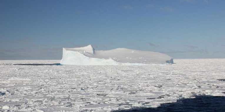 Newly-Discovered Antarctic Bacteria Could Be Cramming Seafood With Mercury