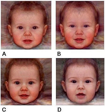 Who's the cutest? A and C, while B and D are less cute, according to St. Andrews University researchers.