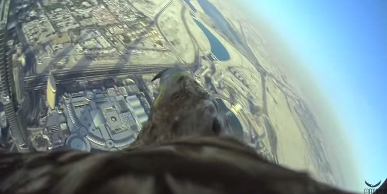 Eagle Films Flight From World’s Tallest Building, Sets Record [Video]
