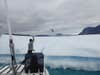 a man throws a small sensor onto an iceberg