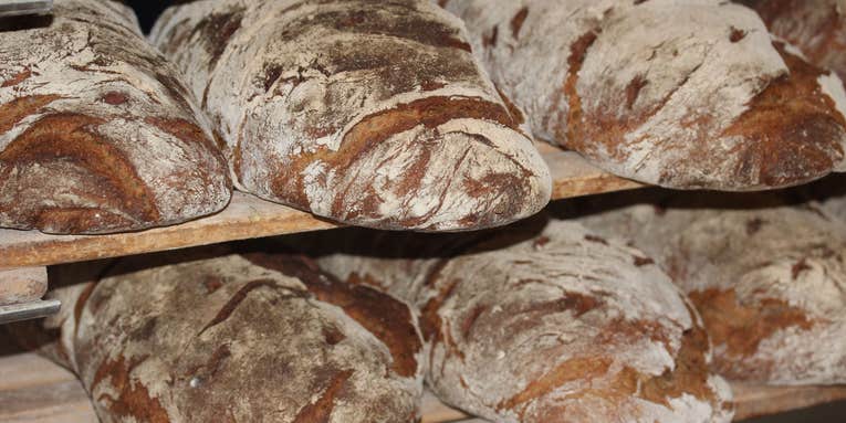 Half of your bread’s environmental impact comes from fertilizer