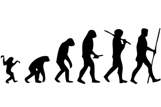 Evolution photo