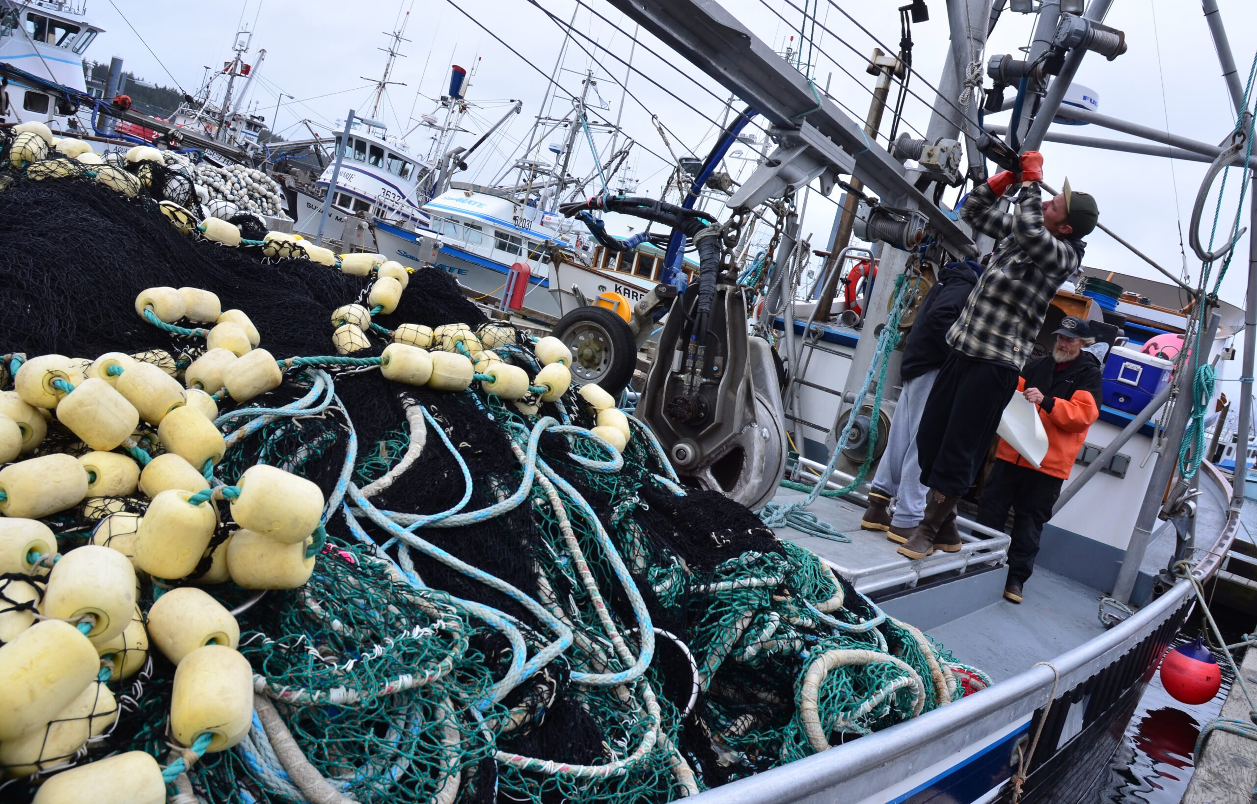 We're Catching Millions Of Tons More Fish Each Year Than We Report