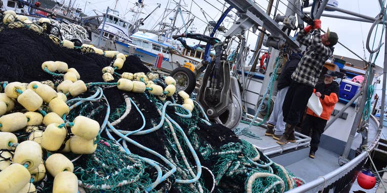 We’re Catching Millions Of Tons More Fish Each Year Than We Report