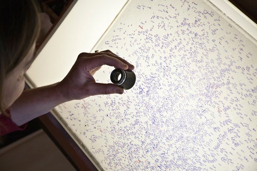 Alison Doane, Curator of Astronomical Photographs at the Digital Access to a Sky Century @ Harvard project, inspects markings on a telescope negative. After capturing a photographic plate, researchers would annotate discoveries or stars of interest, but these historical scribbles must be removed before the plate can be digitally scanned. Marker dots might show up as false stars in the scanned image, interfering with the data. Doane is using a magnifying loupe just as the original plate examiners would. Women hired by Harvard — called "computers" because they would compute stellar magnitudes — would spend long hours hunched over light tables like this one, measuring star diameters to determine their brightness levels.