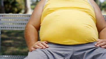 Your Probiotics Won’t Help Your Obesity