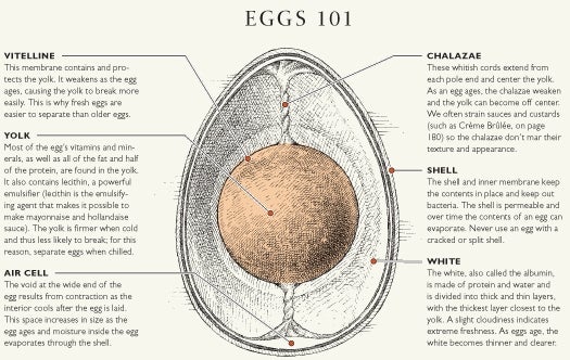 Your Scrambled Eggs Are Wrong, And Other Cooking Science Lessons From America’s Test Kitchen