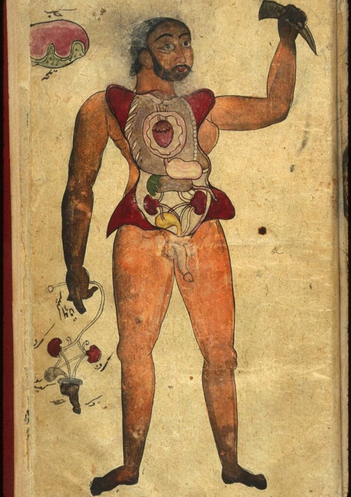 This man seems surprised… whether by his open chest, his pantslessness, or the other man's urinary tract in his hand, it's hard to say. The figure comes from <em>Tibb al-Akbar</em>, or <em>Akbar's Medicine</em>, by Muhammad Akbar. The illustrations are not signed, so historians don't know who made them. The artist would have come from modern-day Iran or Pakistan.