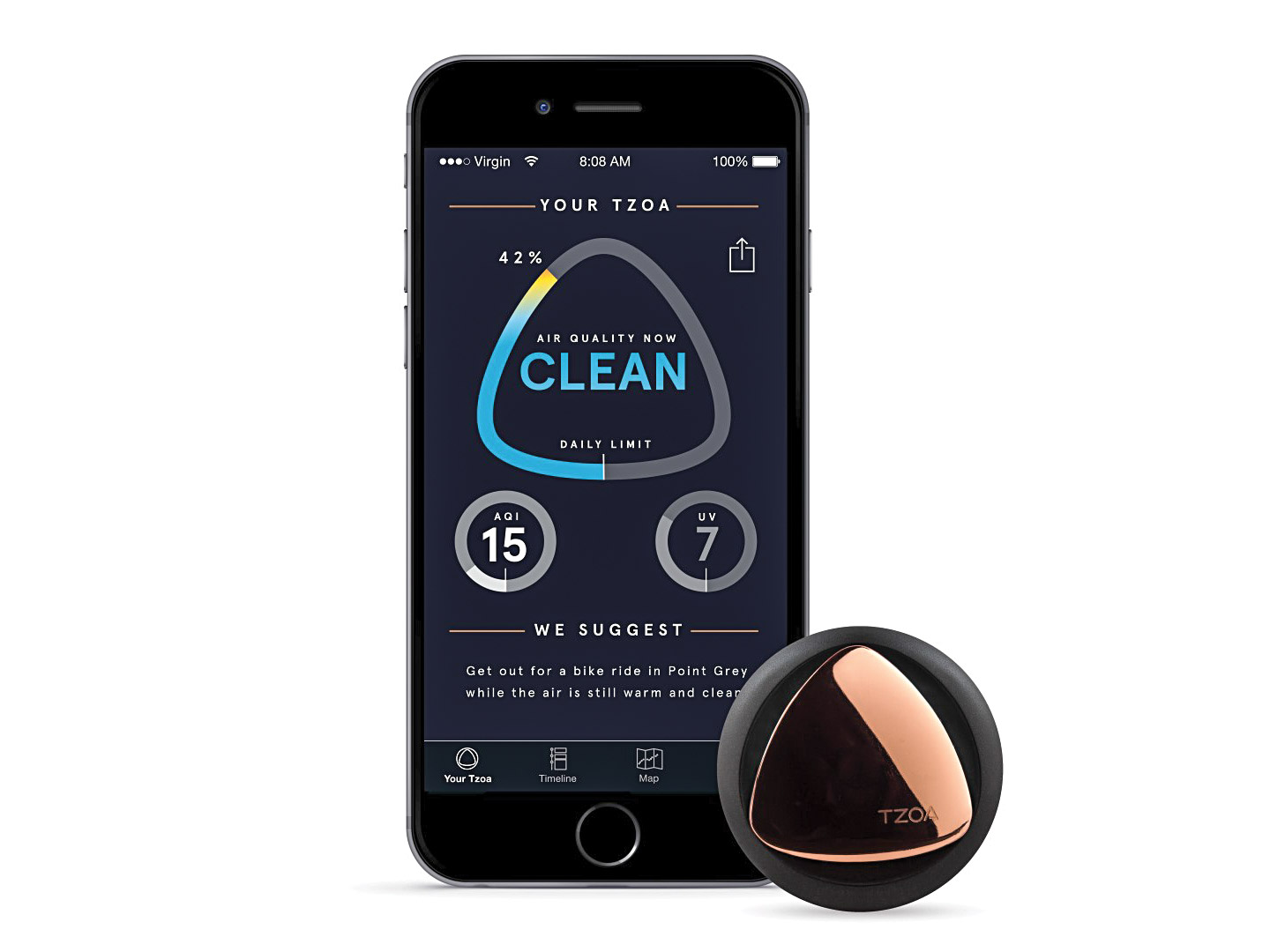A Wearable Pollution Monitor