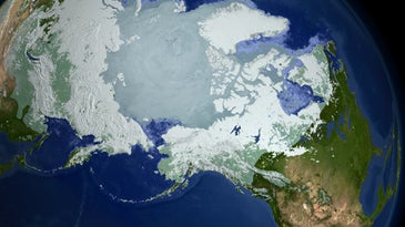 Permafrost Contains Vast Store of Carbon