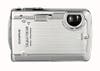 Not only is this 7.1-megapixel pocket shooter waterproof to 10 feet, but the circuit board is on a shock-absorbing bracket, so it can withstand a five-foot fall. Olympus Stylus 720 SW, $400; <a href="http://olympusamerica.com">olympusamerica.com</a>