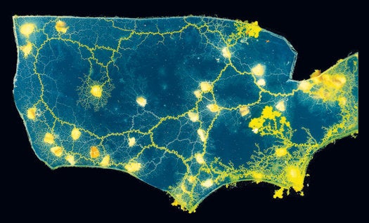 A Map of the U.S. Made of Slime Mold