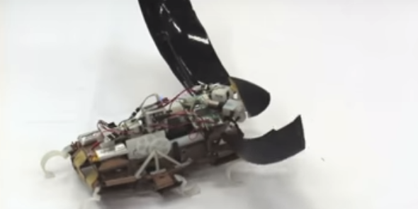 Robot Roach Can Jump Up To Five Feet High